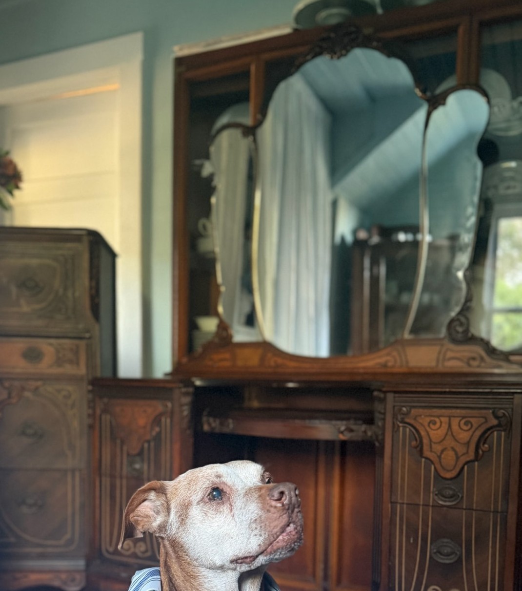 Gilded Mirror